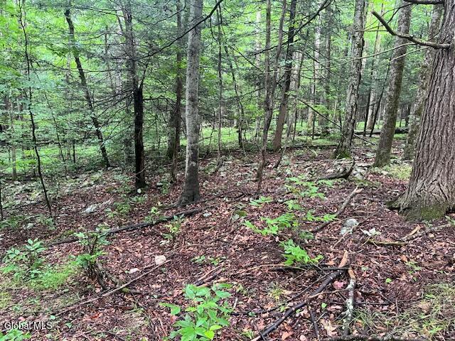 140 Stonewall Path Gilboa NY 12076