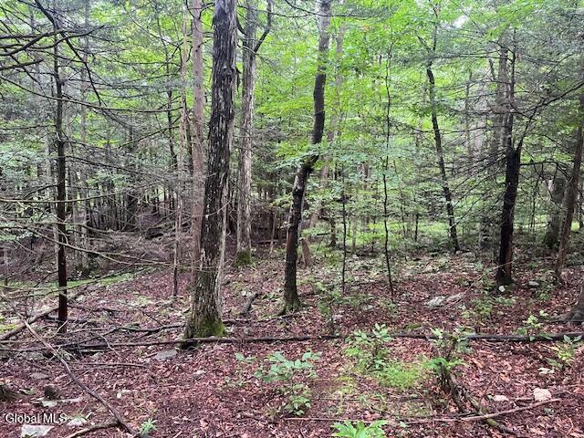140 Stonewall Path Gilboa NY 12076
