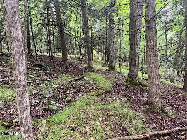 140 Stonewall Path Gilboa NY 12076