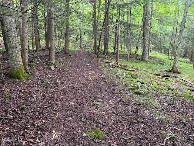 140 Stonewall Path Gilboa NY 12076