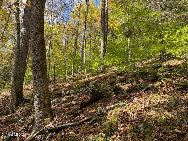 140 Stonewall Path Gilboa NY 12076