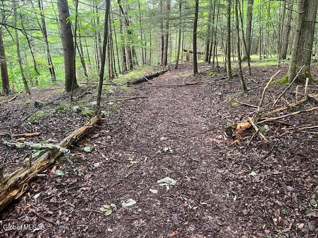 140 Stonewall Path Gilboa NY 12076