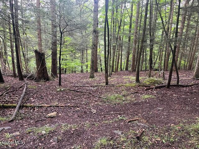 140 Stonewall Path Gilboa NY 12076