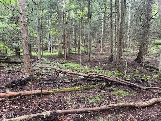 140 Stonewall Path Gilboa NY 12076