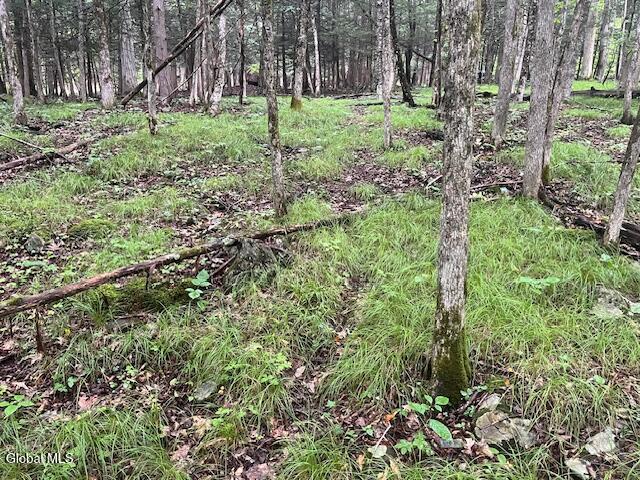 140 Stonewall Path Gilboa NY 12076