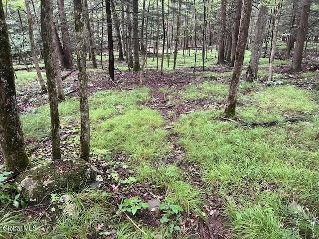 140 Stonewall Path Gilboa NY 12076