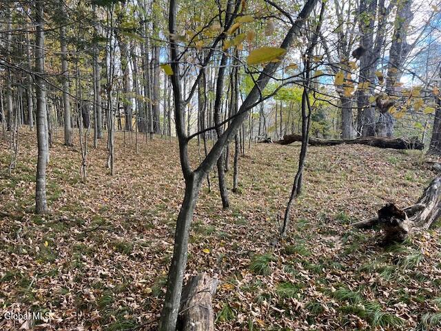 140 Stonewall Path Gilboa NY 12076