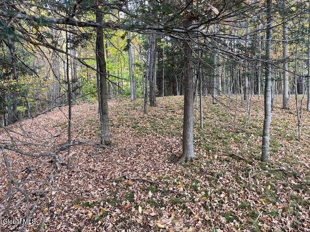 140 Stonewall Path Gilboa NY 12076