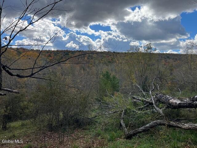 140 Stonewall Path Gilboa NY 12076