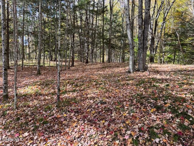 140 Stonewall Path Gilboa NY 12076