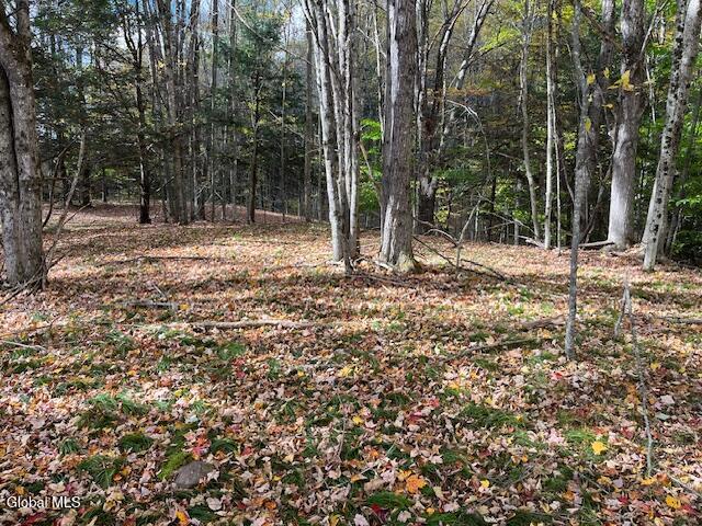 140 Stonewall Path Gilboa NY 12076
