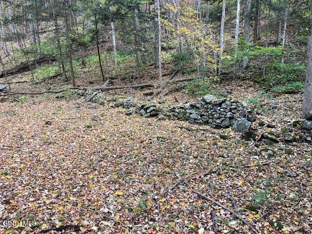 140 Stonewall Path Gilboa NY 12076