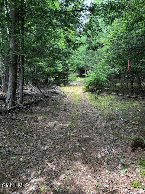 38 Granite Ridge Road Chestertown NY 12817