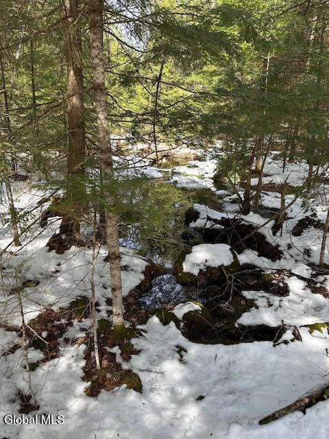 38 Granite Ridge Road Chestertown NY 12817