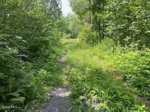 L1 Castle Road Little Falls NY 13406