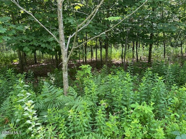 L1 Castle Road Little Falls NY 13406
