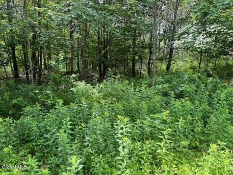 L1 Castle Road Little Falls NY 13406