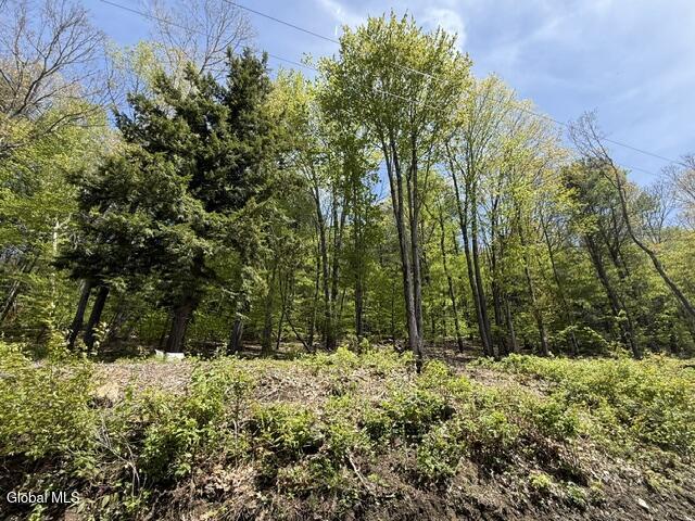 190 Stewart Road Petersburgh NY 12138