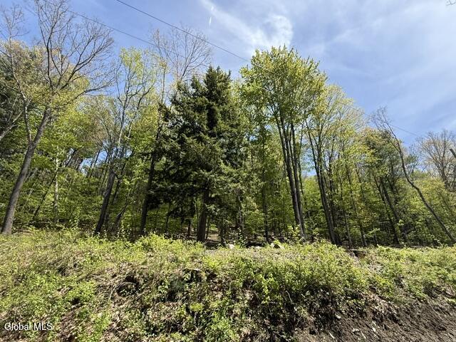 190 Stewart Road Petersburgh NY 12138