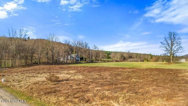 L43.3 Fairway Court Afton NY 13730