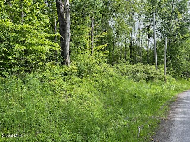 L9 Harrington Gilboa NY 12076