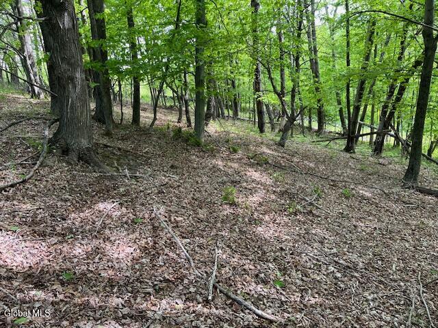 L9 Harrington Gilboa NY 12076