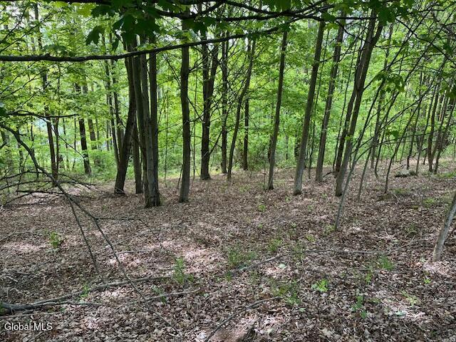 L9 Harrington Gilboa NY 12076
