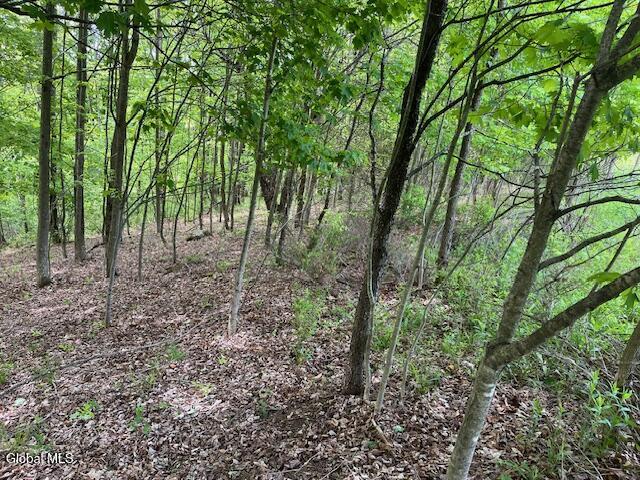 L9 Harrington Gilboa NY 12076