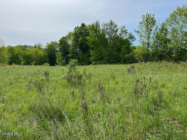 L9 Harrington Gilboa NY 12076