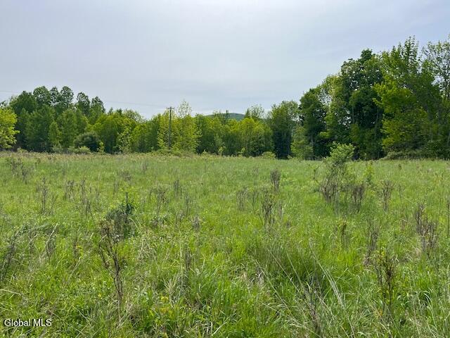 L9 Harrington Gilboa NY 12076