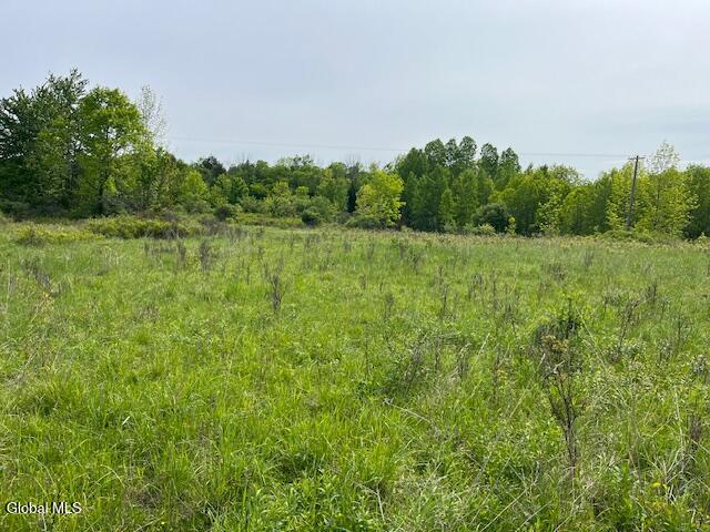 L9 Harrington Gilboa NY 12076