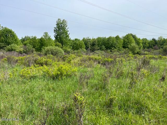 L9 Harrington Gilboa NY 12076