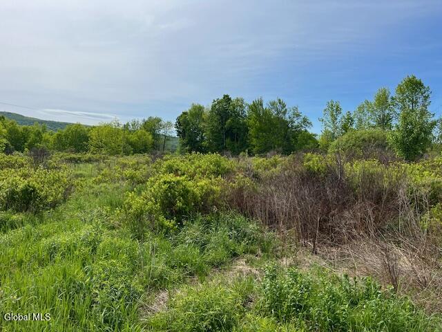 L9 Harrington Gilboa NY 12076