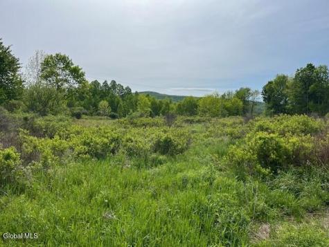 L9 Harrington Gilboa NY 12076