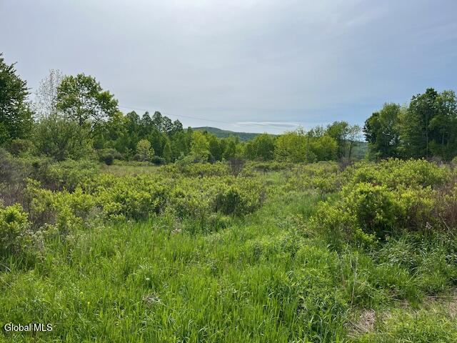 L9 Harrington Gilboa NY 12076