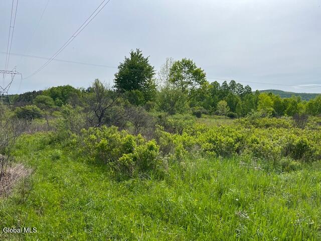 L9 Harrington Gilboa NY 12076