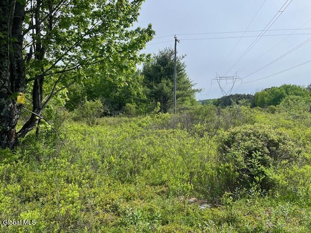 L9 Harrington Gilboa NY 12076