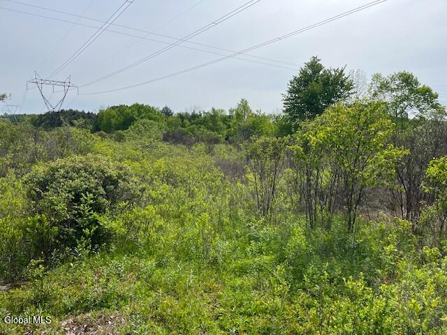 L9 Harrington Gilboa NY 12076