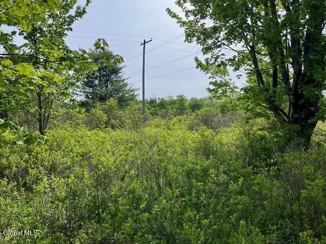 L9 Harrington Gilboa NY 12076