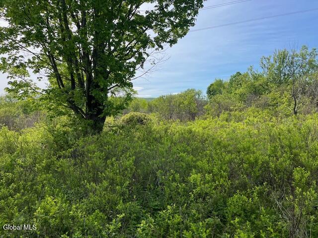 L9 Harrington Gilboa NY 12076