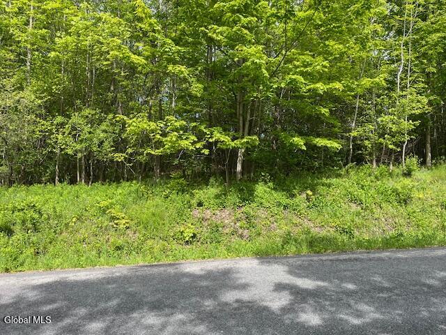 L9 Harrington Gilboa NY 12076