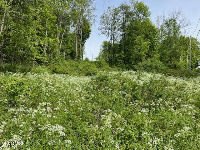 L9 Harrington Gilboa NY 12076