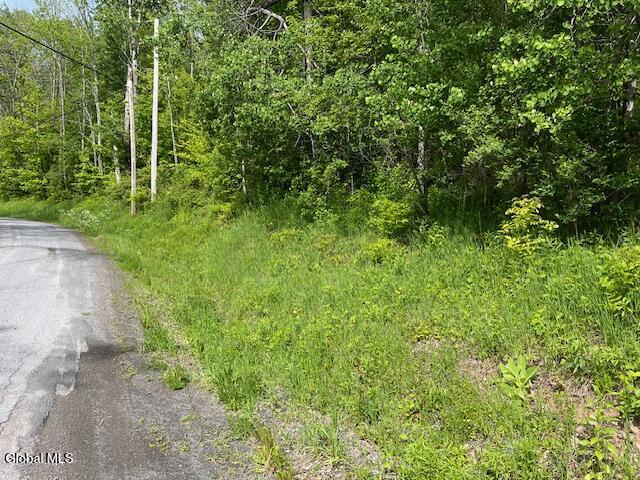L9 Harrington Gilboa NY 12076