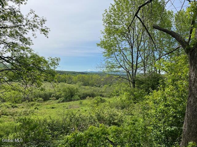 L9 Harrington Gilboa NY 12076