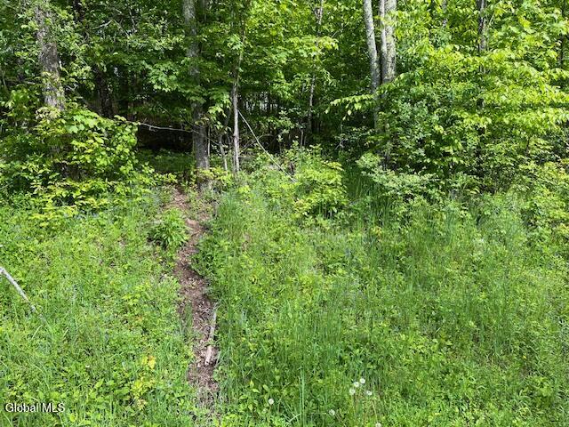 L9 Harrington Gilboa NY 12076