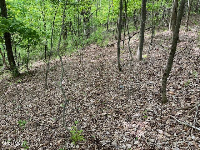 L9 Harrington Gilboa NY 12076