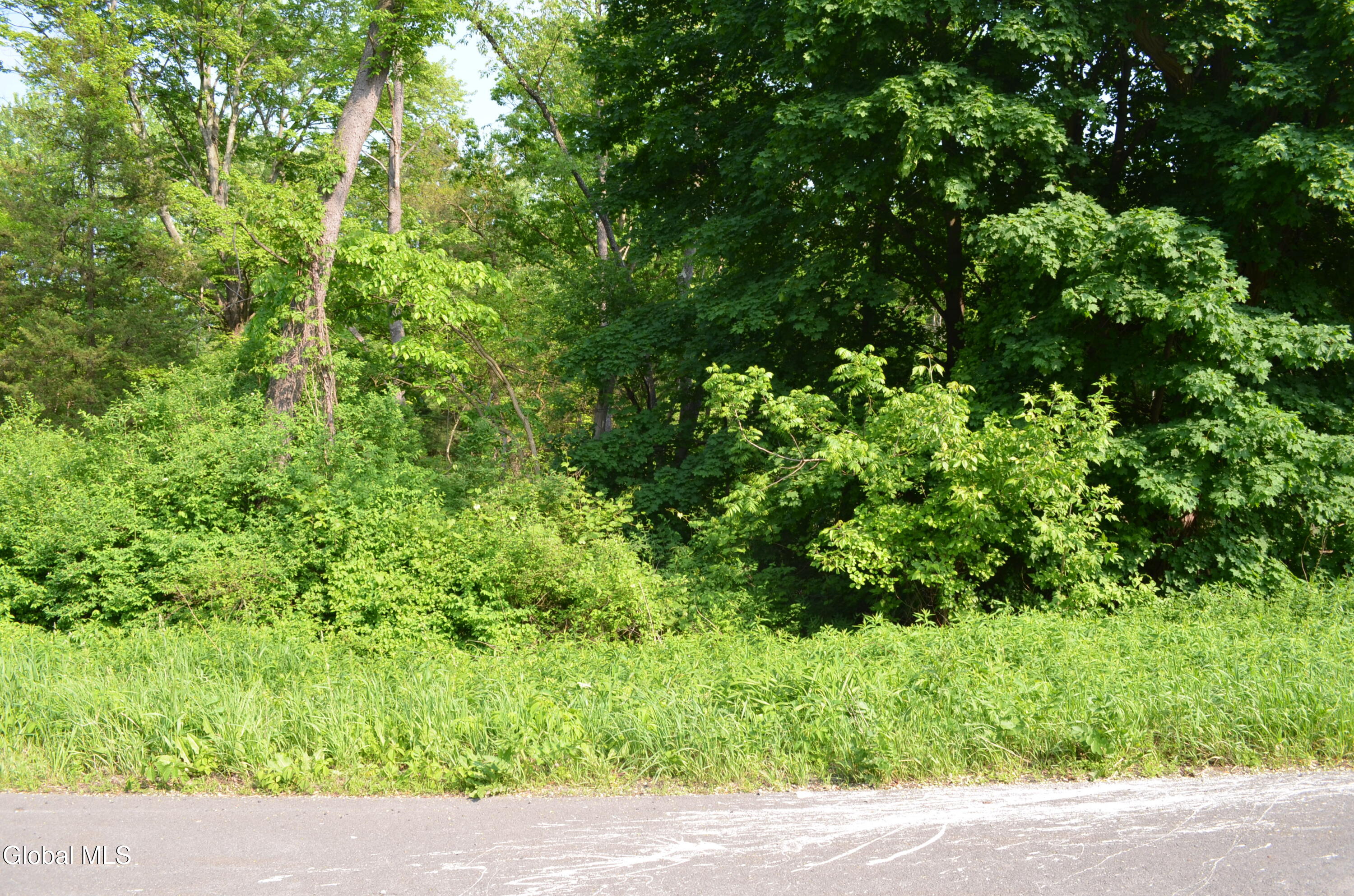 L35 River Road Selkirk NY 12158