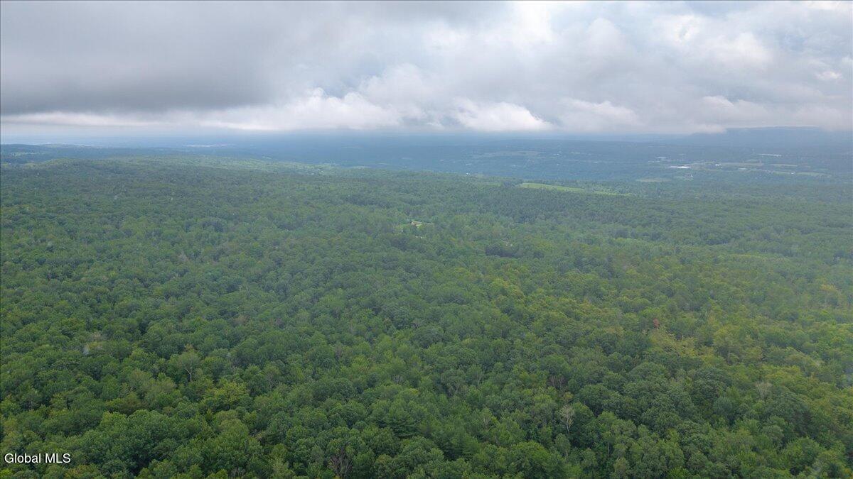 181 Liddle Road Duanesburg NY 12056