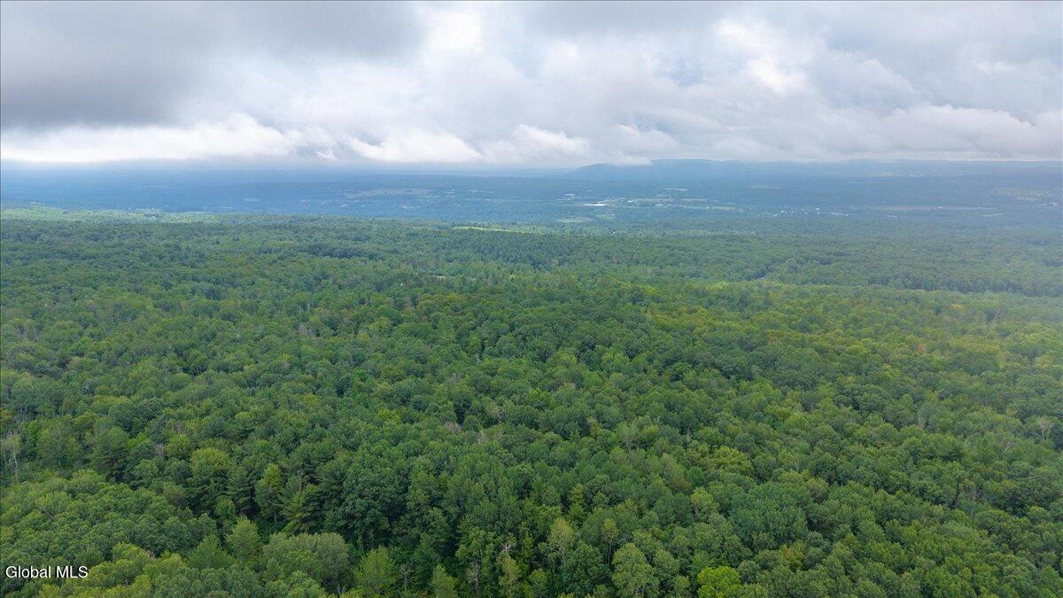 181 Liddle Road Duanesburg NY 12056