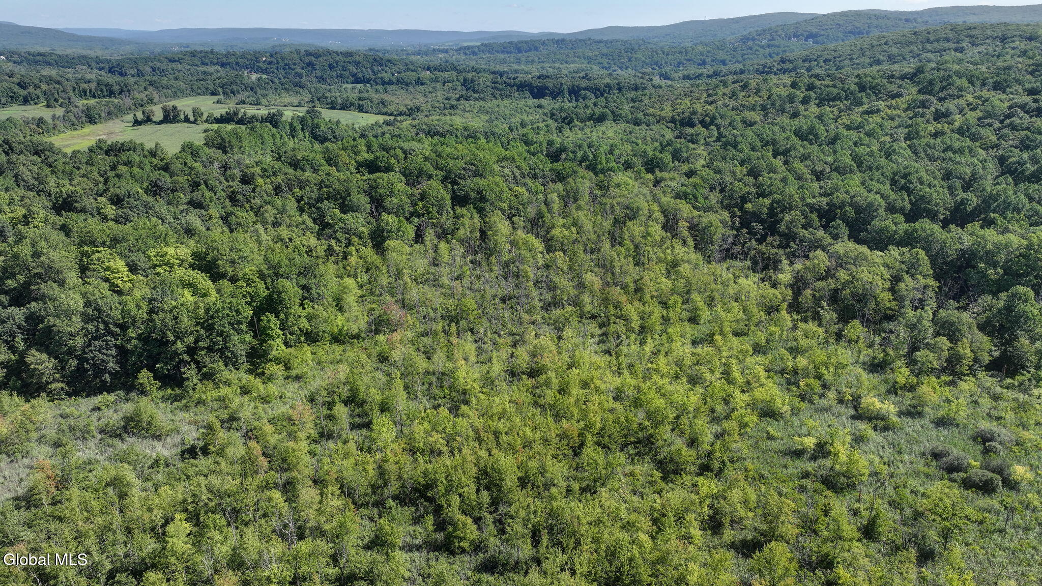 L01 Fox Hollow Lane Hopewell Junction NY 12533